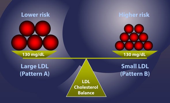 Small vs Large LDL