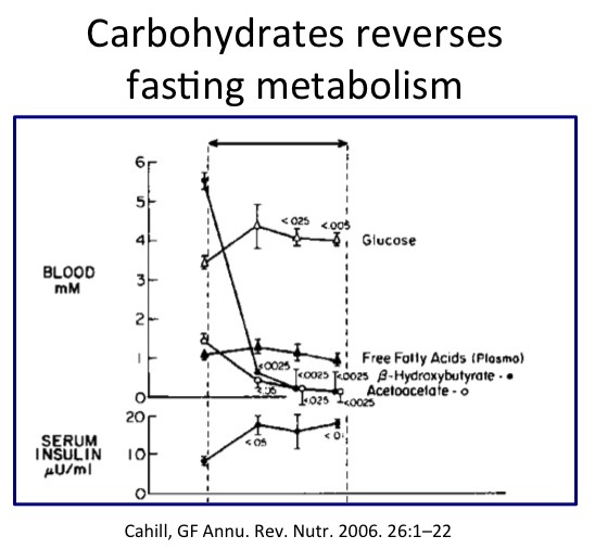 Glucose reverses fasting